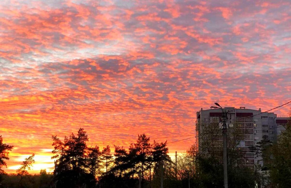 Прогноз магнитных бурь с 6 по 12 апреля